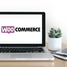 Learn about WooCommerce and how it compares to other providers