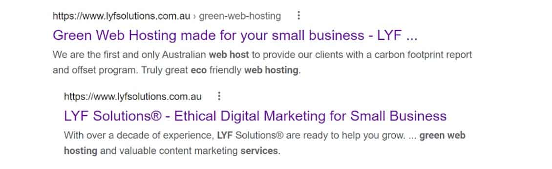 For LYF Solutions, keywords center around small business solutions, ethical marketing and sustainable practices on the web